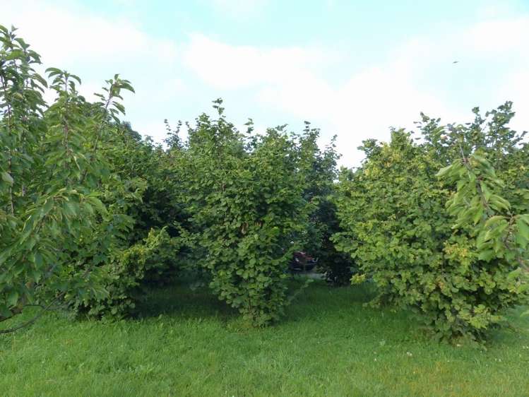 192 High Street Oxford_6