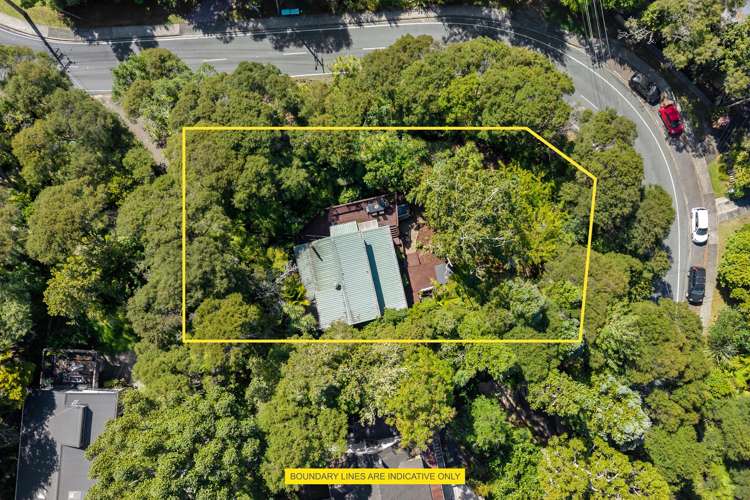 183 Laingholm Drive Laingholm_30