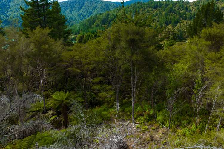 Lot 1 Nydia Bay Marlborough Sounds_20