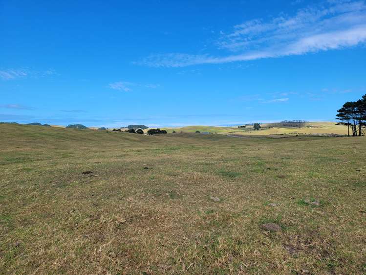 1008 Te Maire Road Te Kopuru_2