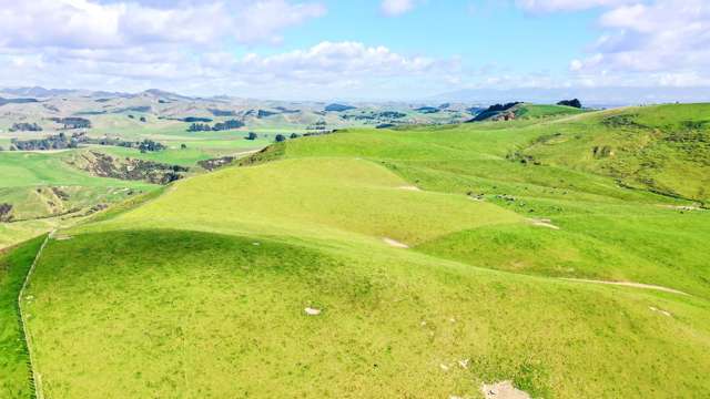 49 Tuturewa Road Rangitikei Surrounds_3