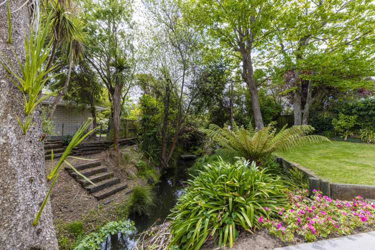 84 Lake Terrace Road Burwood_3