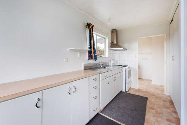 14 Martin Harvery Street Levin_1