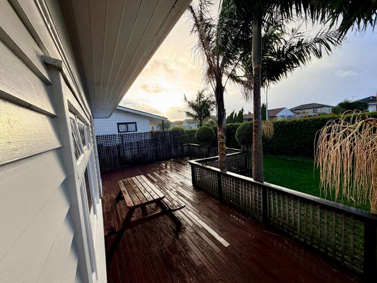 18 Jasper Ave Mount Roskill_9