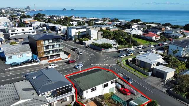 13 Hobson Street New Plymouth Central_2