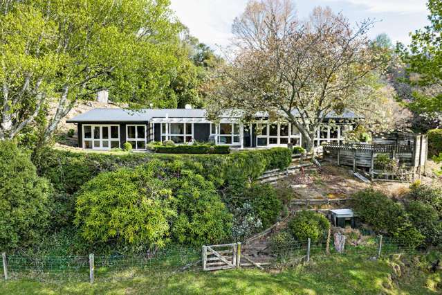 50 Little Bush Road Puketitiri_1