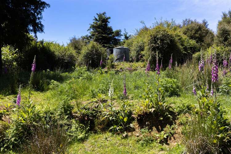 1025 Wakamarina Road Havelock_26