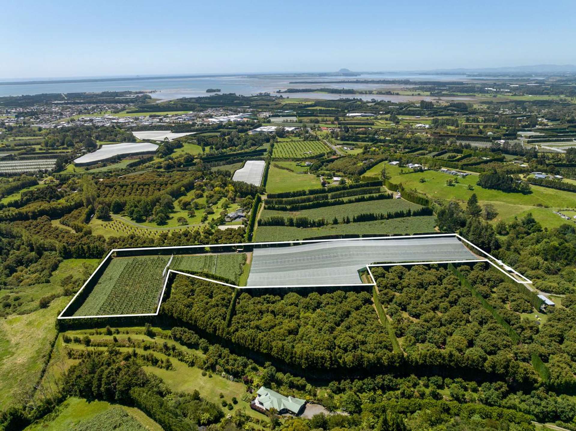 140C Wharawhara Road Tahawai_0