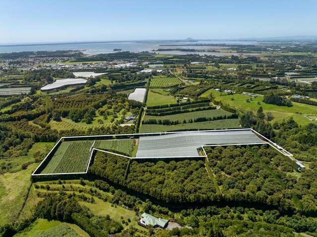 3.55 ca/ha High performing G3 production block!