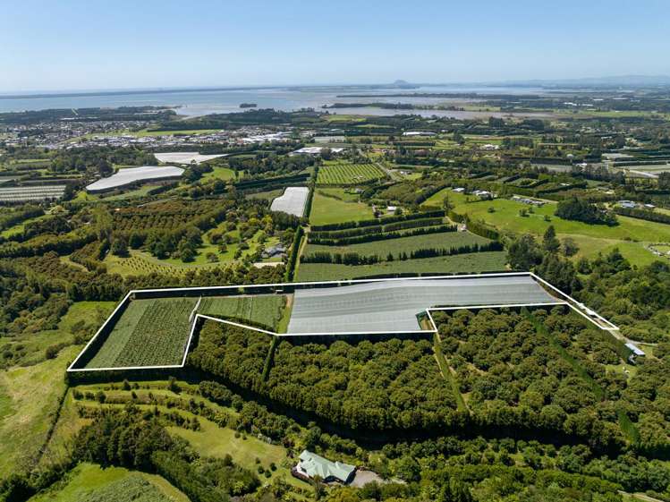 140C Wharawhara Road_0