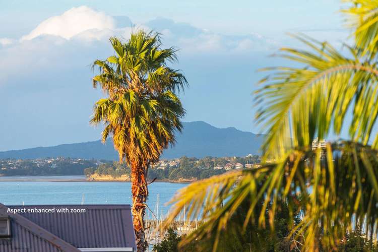 62 Hackett Street Saint Marys Bay_14