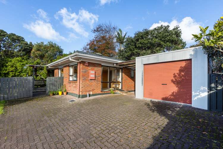 14l Cradock Street Avondale_8