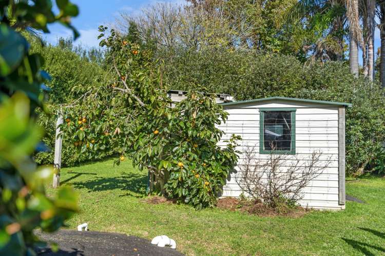 5 Buttercup Place Waimauku_20