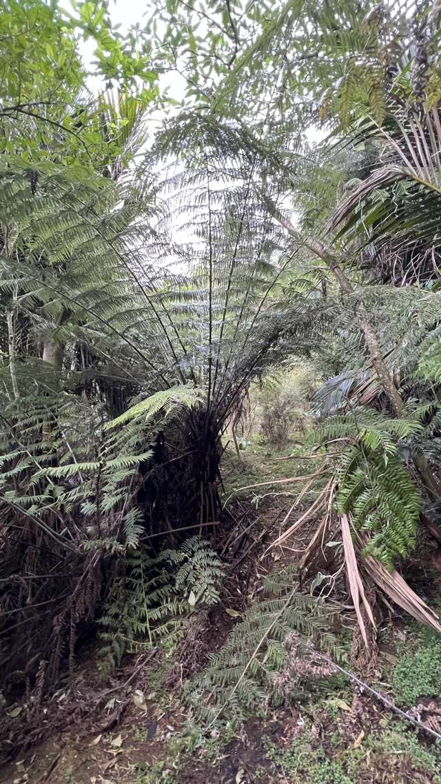 694 The 309 Road, Waiau Coromandel_1