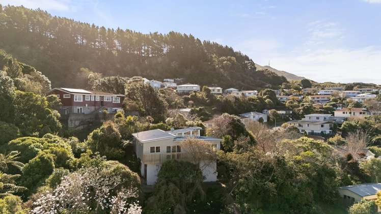 1 Fyvie Avenue Tawa_24