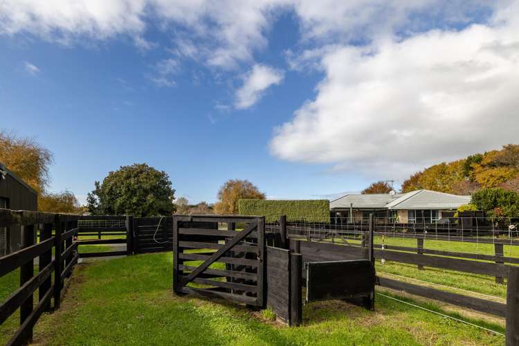 204 Racecourse Road Cambridge_19