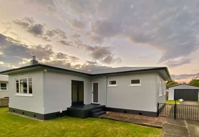 Warm, Fully Renovated Home with Large Section