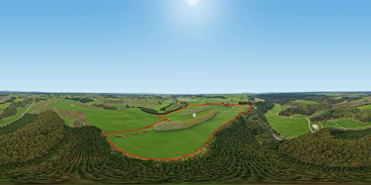 936 Pongakawa Bush Road Pongakawa_9