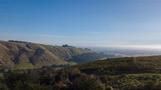 8 Aglaia Place Cracroft_4