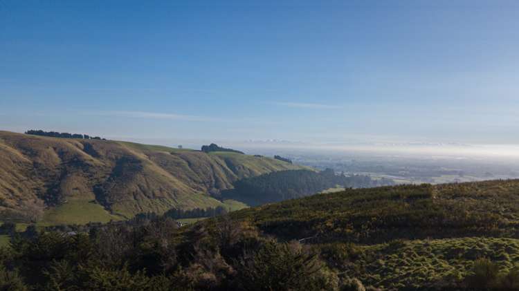 8 Aglaia Place Cracroft_4