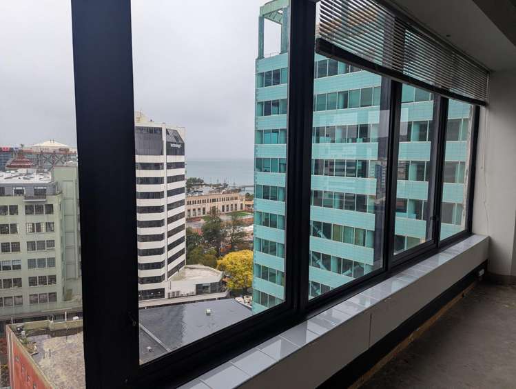 Level 12/2 Manners Street Wellington Central_12