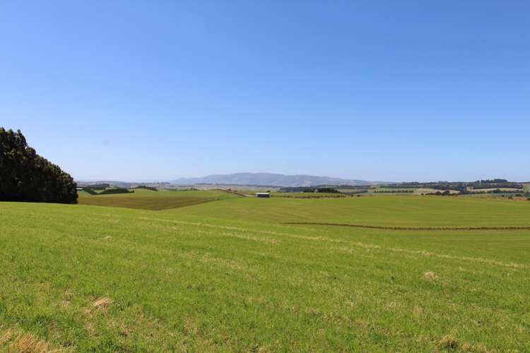 1271 Waikaka Valley Highway Gore Surrounds_17