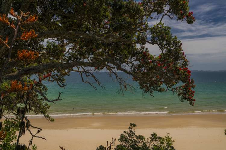 18 Otama Beach Road Opito Bay_25