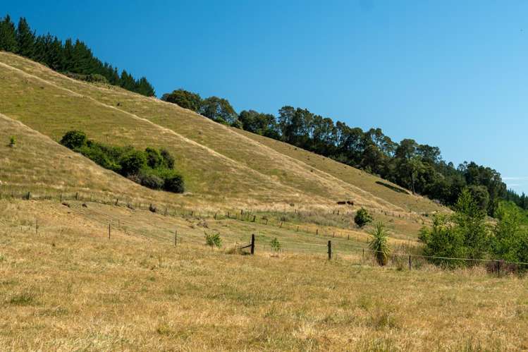 300 Sunday Creek Road Thorpe_38