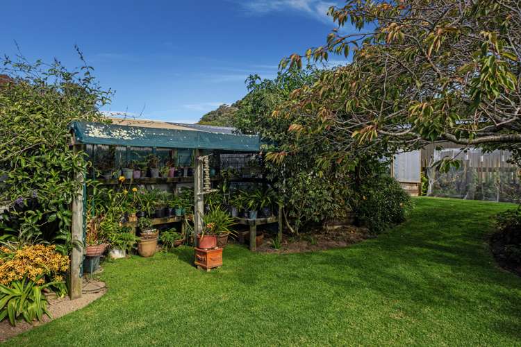 35 Wilson Street Matata_20