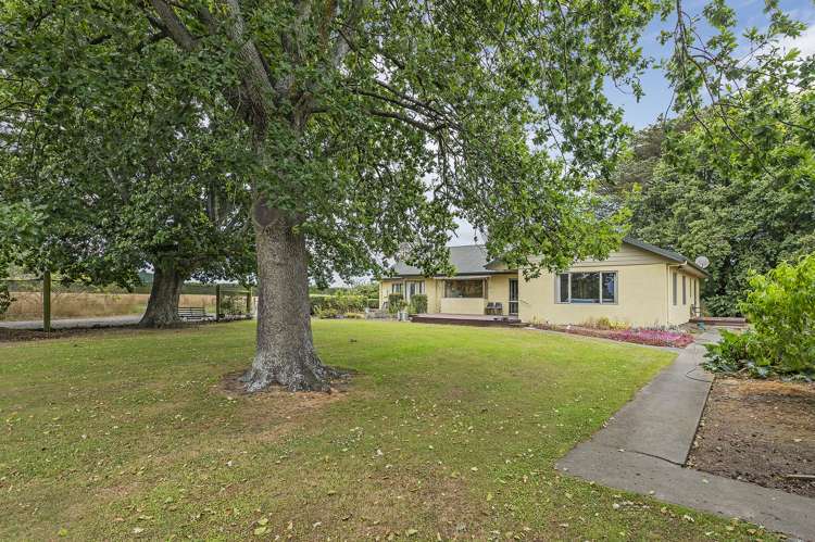 63 Ashley Road Cust_24