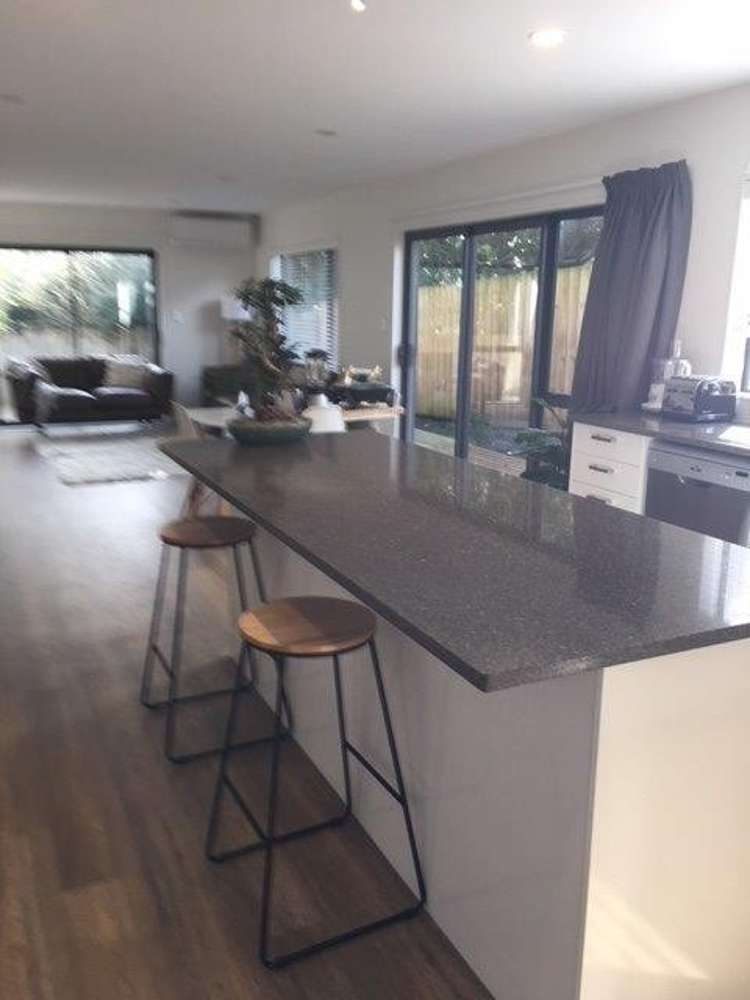 10 Hamon Avenue Mount Roskill_3