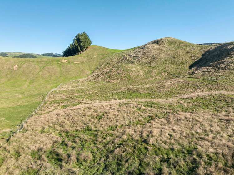 Lot 2/67 Hitiri Road Kinloch_6
