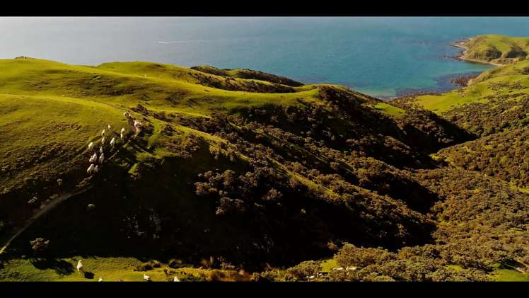 Pikarere Farm Porirua_14