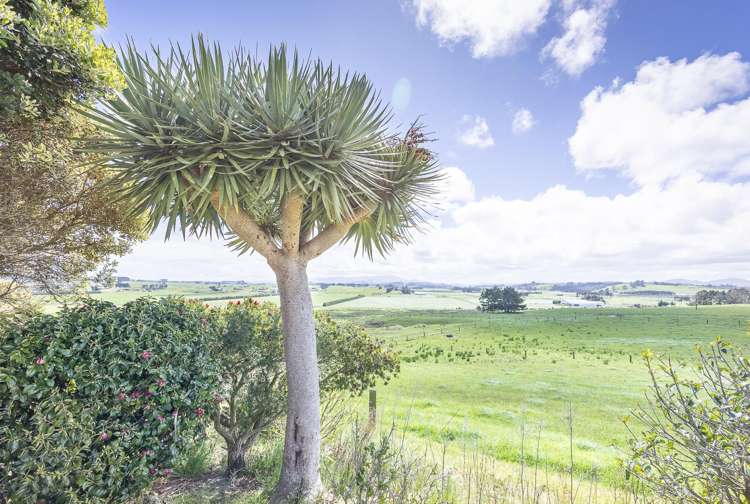 152 Colville Road Dargaville_41