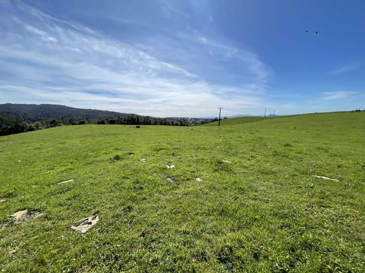 Pekanui Road Puketotara_17