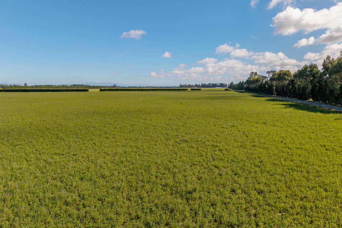 638 Telegraph Road_2