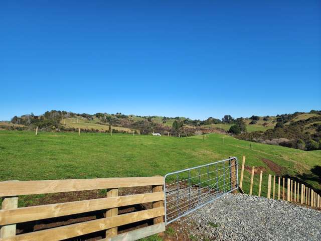 Te Anga Road Waitomo_4