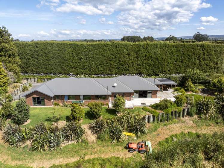 62 Elmwood Road Aongatete_5