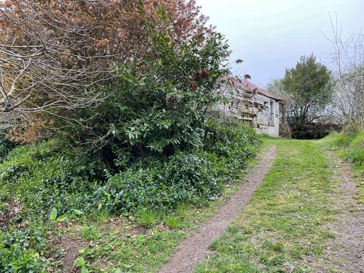 223 Dobson Street Hampstead_2