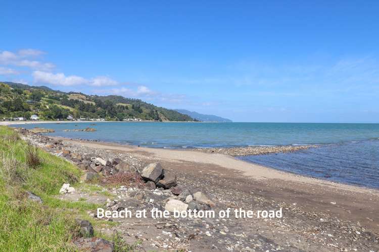 16 Hazlett Road Te Mata_12