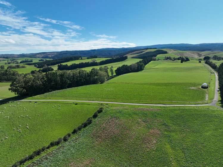 191 Chapman Road Wharetoa_21