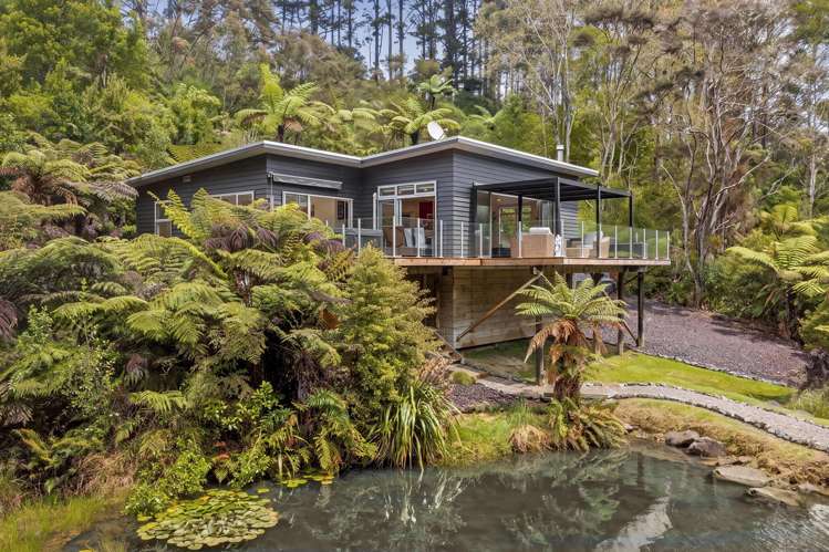 276B Smyth Road Dome Forest_27