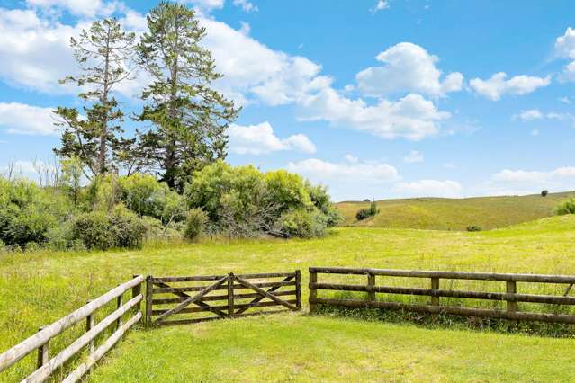 425 Tuhimata Road Ramarama_1