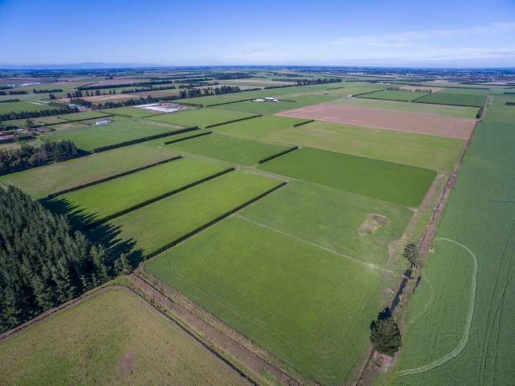 379 Kimberley Road Darfield_10