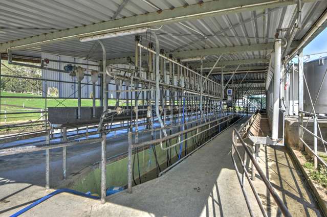 1317 Waimea Valley Road Nine Mile_2