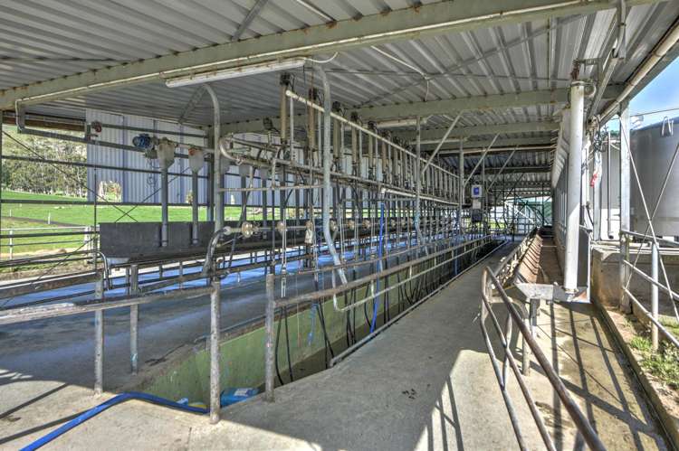 1317 Waimea Valley Road Nine Mile_2