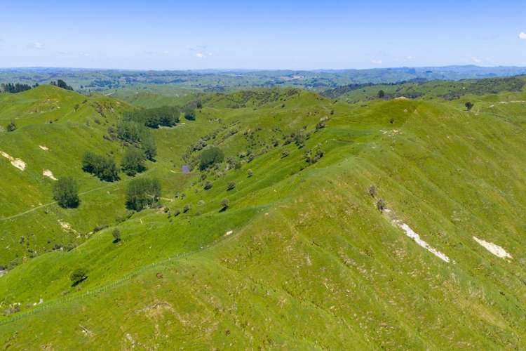 1691 Kawhatau Valley Road Mangaweka_11