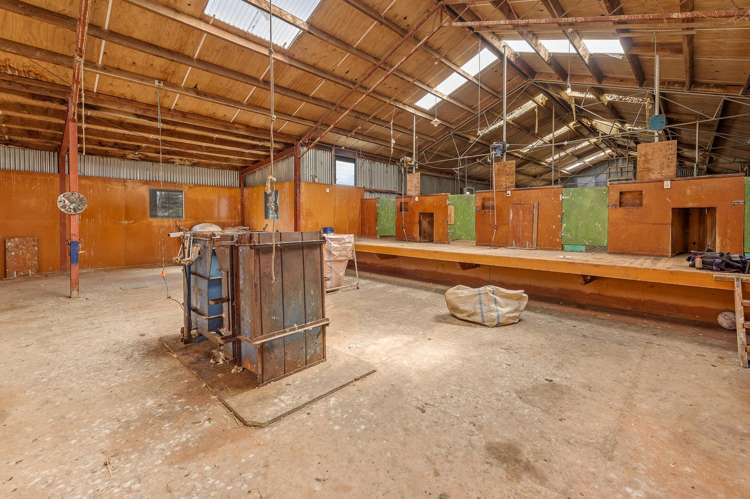 559 Waipahi Highway Mcnab_20