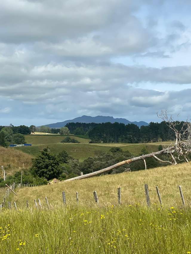 Lot 1, 2 & 4/3054 State Highway 23 Raglan_4