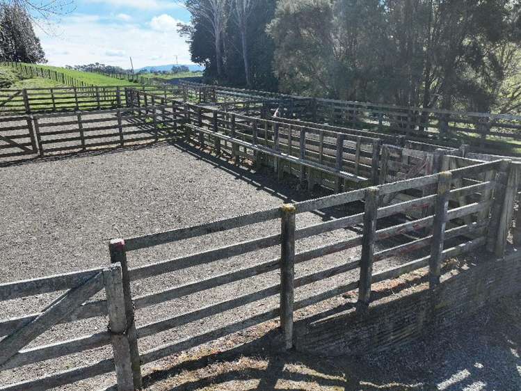 2829 Puketitiri Road Patoka_18